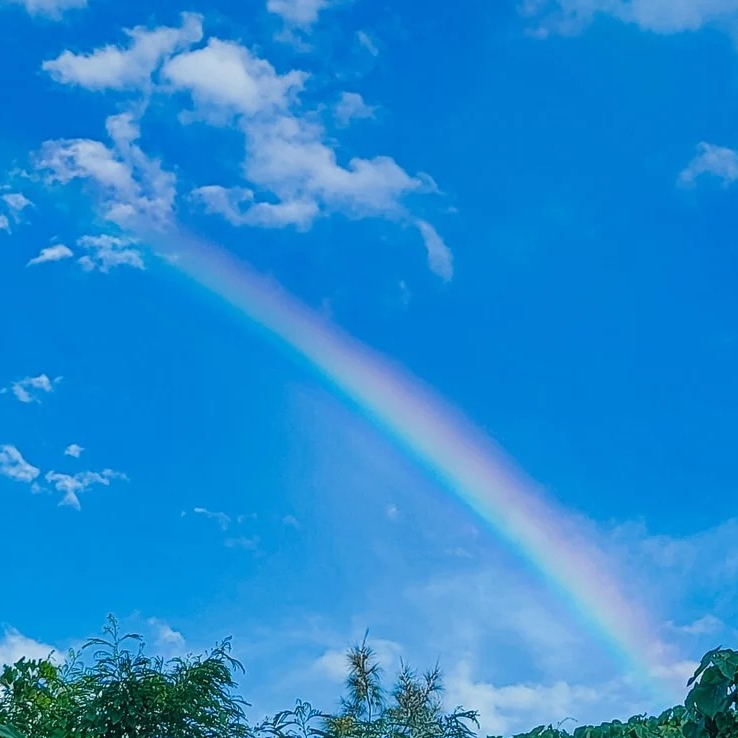 『今日は7月16日ナナイロの日🌈』ナナイロブログサムネイル