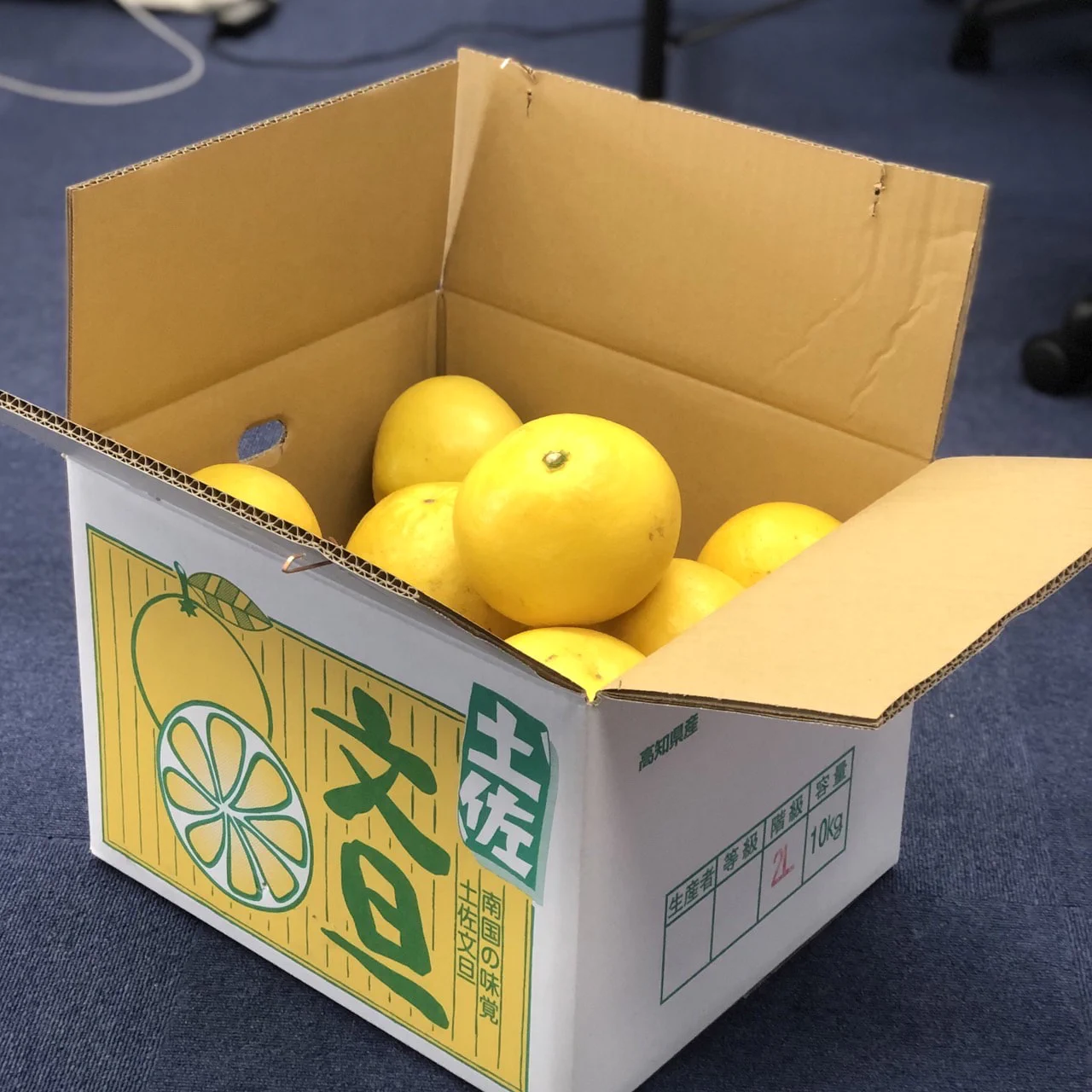 『土佐文旦を頂きました🍊』ナナイロブログサムネイル