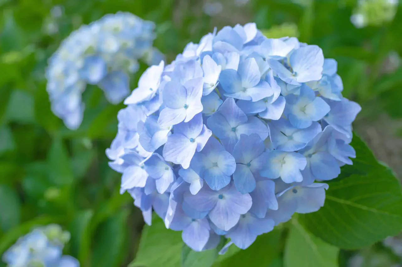 『岡山に行ってました。。』ナナイロブログサムネイル