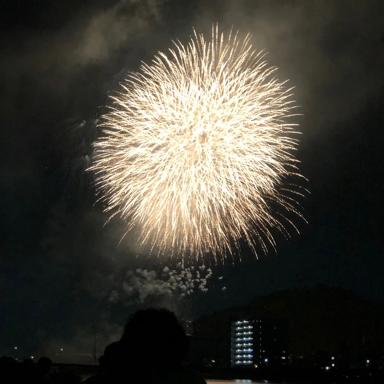 『第74回高知市納涼花火大会🎆』ナナイロブログサムネイル