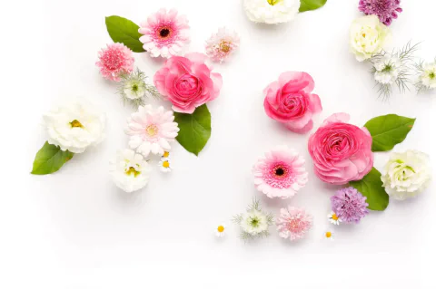 高知結婚相談所 ナナイロのブログ記事『今週末はお見合い8組✨カウンセリング７件🌸』