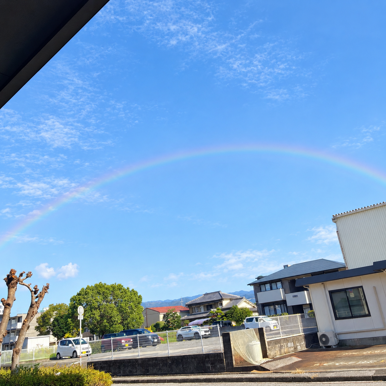 『今日から１０月🌈今から楽しみなXmasプロポーズ🎄🎄🎄』ナナイロの婚活ブログサムネイル