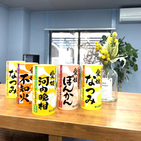 高知結婚相談所 ナナイロのブログ記事『嬉しいお客さんが来てくれました🌸』