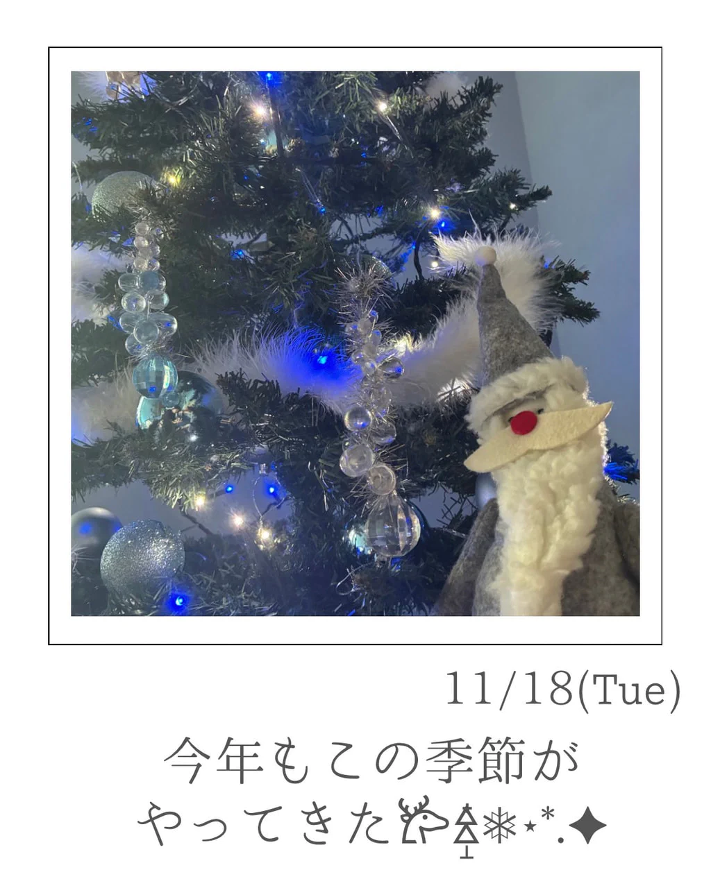 『今年もこの季節がやってきた🎄🎄🎄』ナナイロブログサムネイル