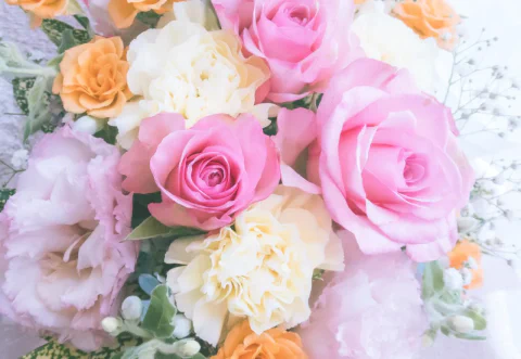 高知結婚相談所 ナナイロのブログ記事『ナナイロ・ヒトイロ大忙しの日曜日(´▽｀*)』