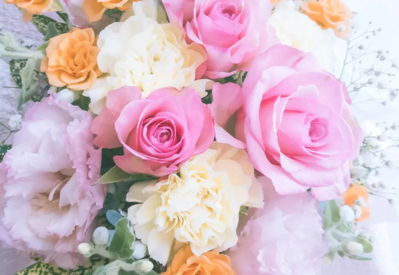 『ナナイロ・ヒトイロ大忙しの日曜日(´▽｀*)』ナナイロブログサムネイル