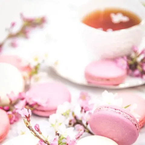 高知結婚相談所 ナナイロのブログ記事『本日は中平がお休み。高橋一人体制です(^^)/』