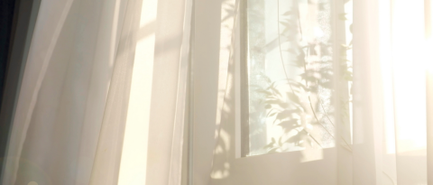 高知結婚相談所 ナナイロのブログ記事『【高知の婚活】頑張っているのに結果が出ないと感じたら｜地方での婚活を次のステージへ進めるための考え方』